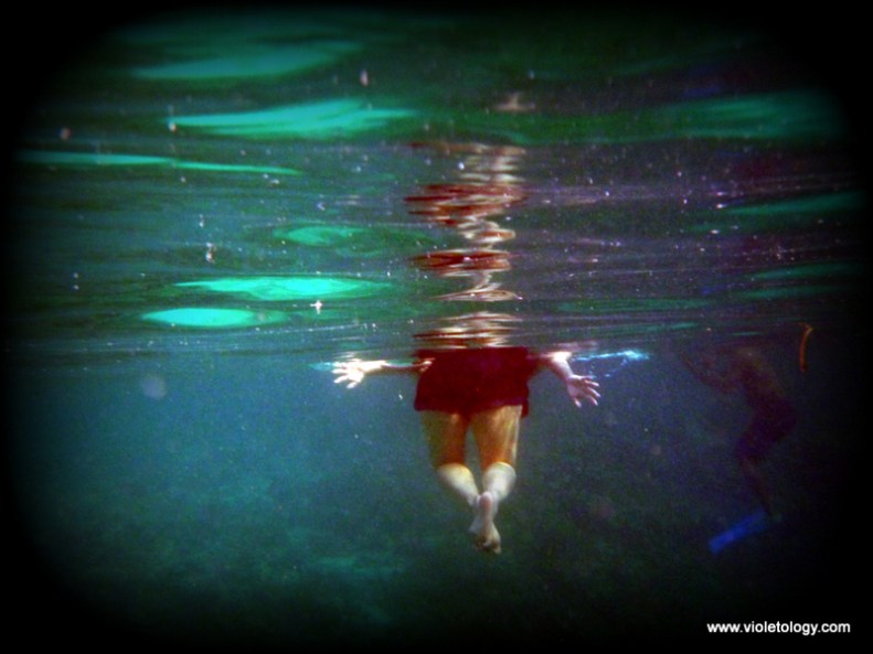 Snorkelmaldives (13)