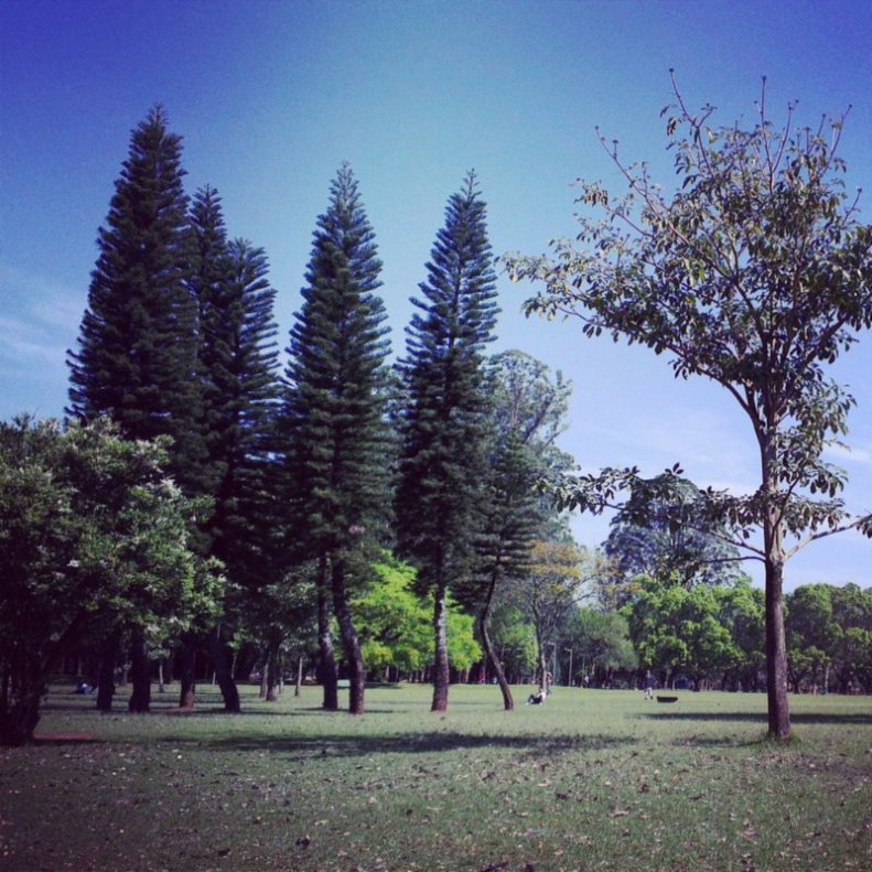 ibirapuera (2)