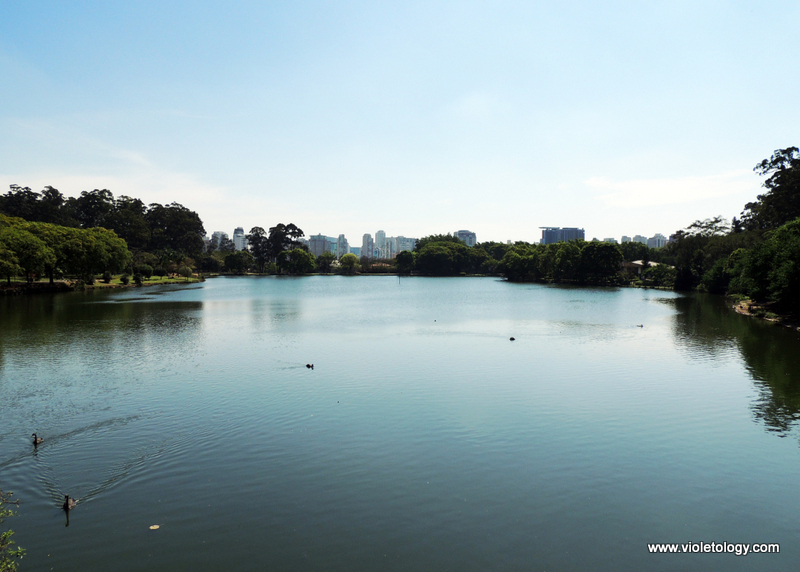 Ibirapuera Park (19)