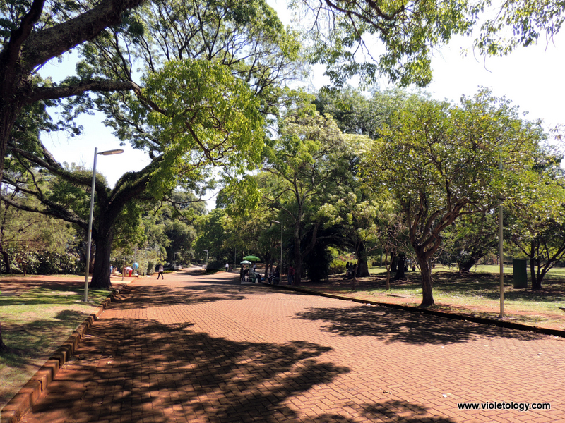 Ibirapuera Park (5)