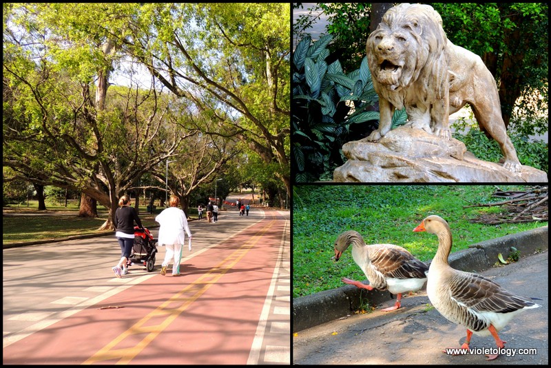 Ibirapuera Park (6)