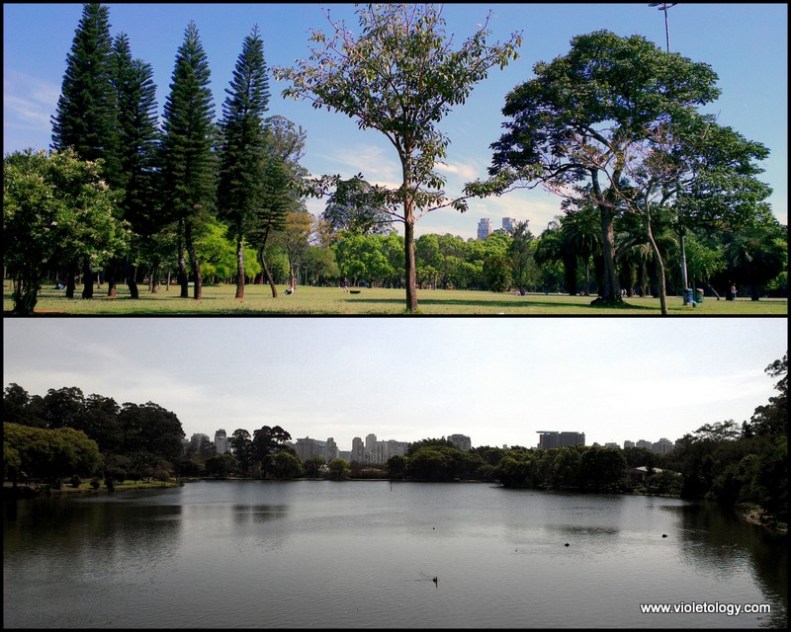 Ibirapuera Park (9)