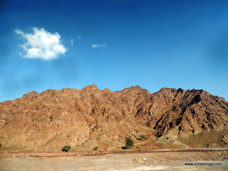 Dibba Al-Fujairah (7)