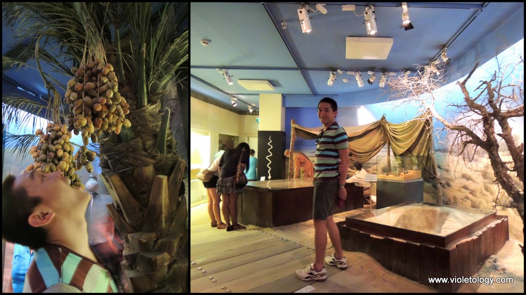 Dubai Museum (34)