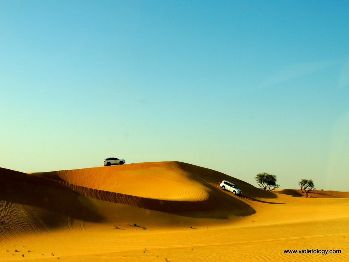AUH Desert (12)