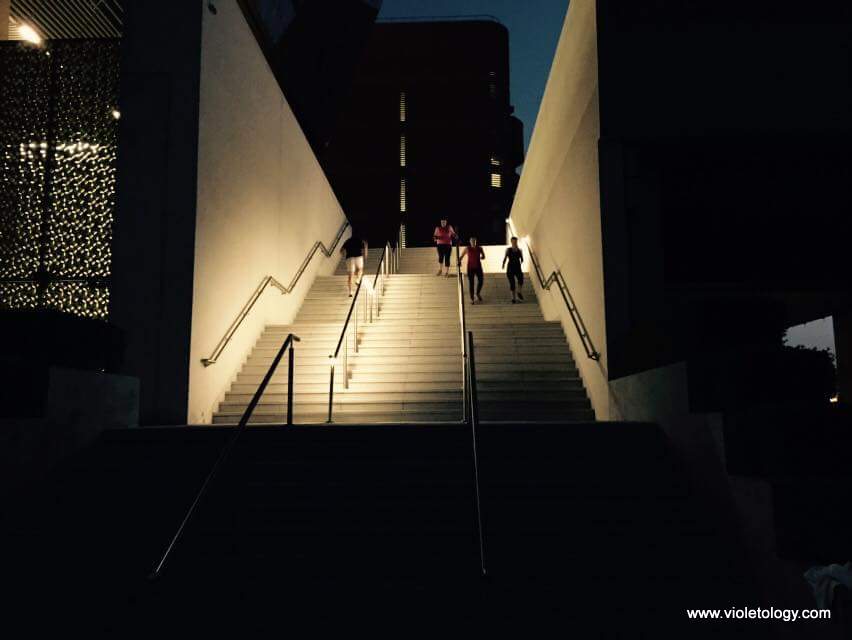 haddind-primal-2 (6)