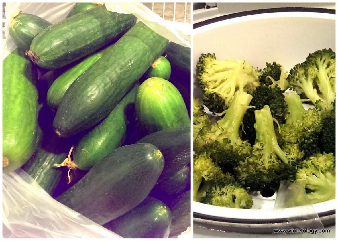 haddins-primal-1 (11)