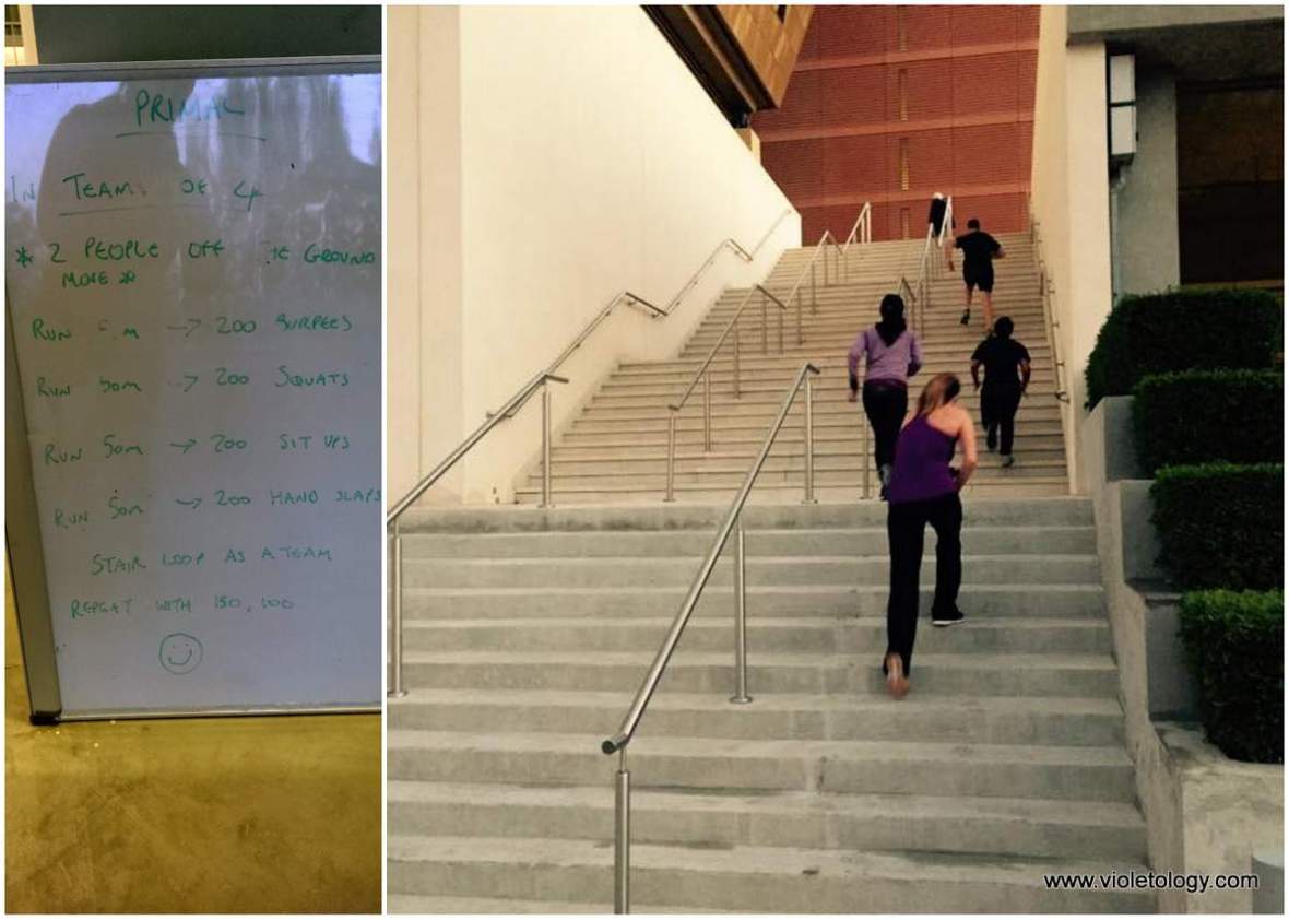 haddins-primal-1 (15)