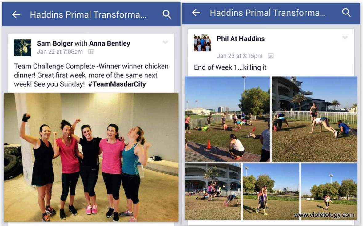 haddins-primal-1 (17)