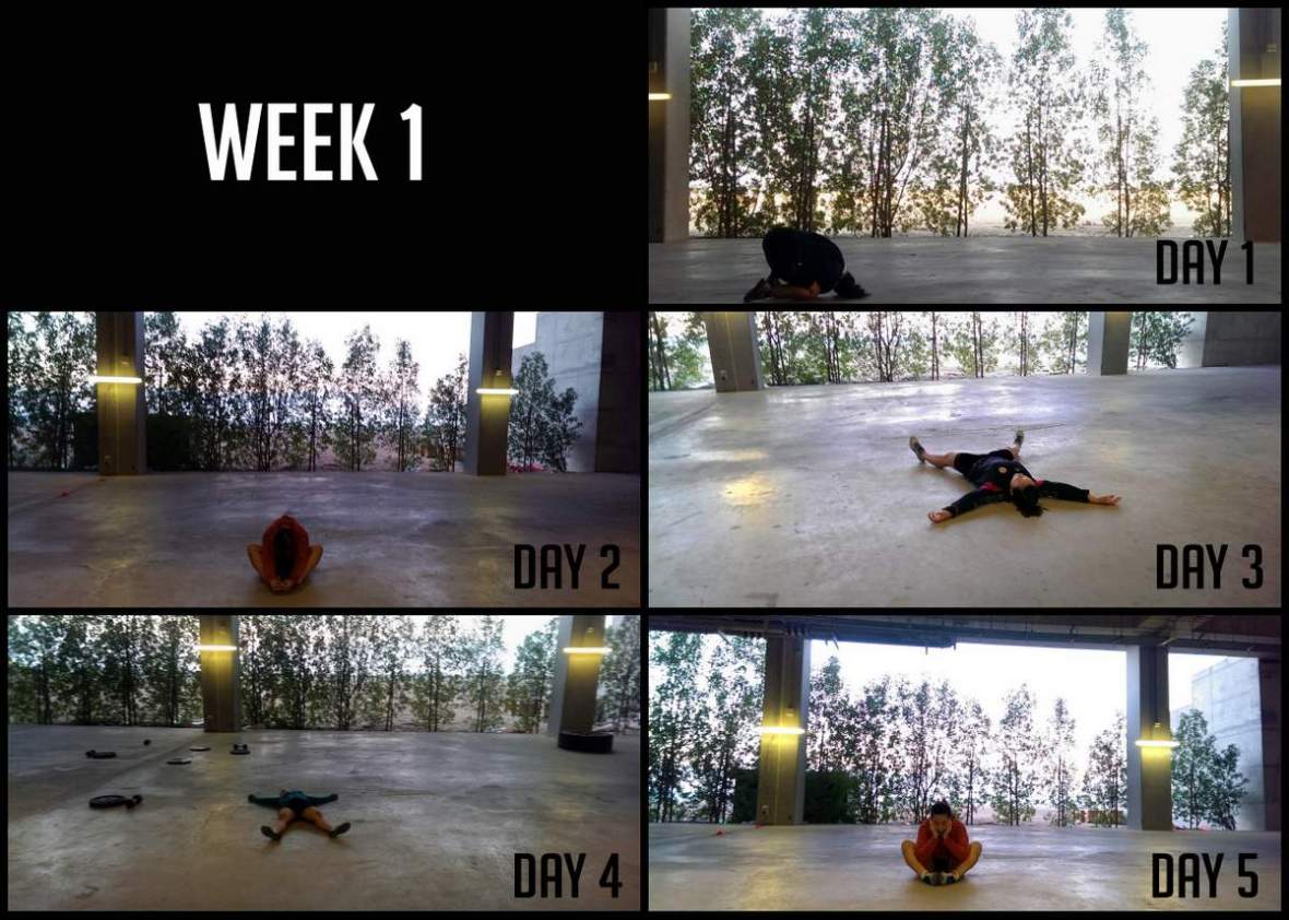 haddins-primal-1 (22)