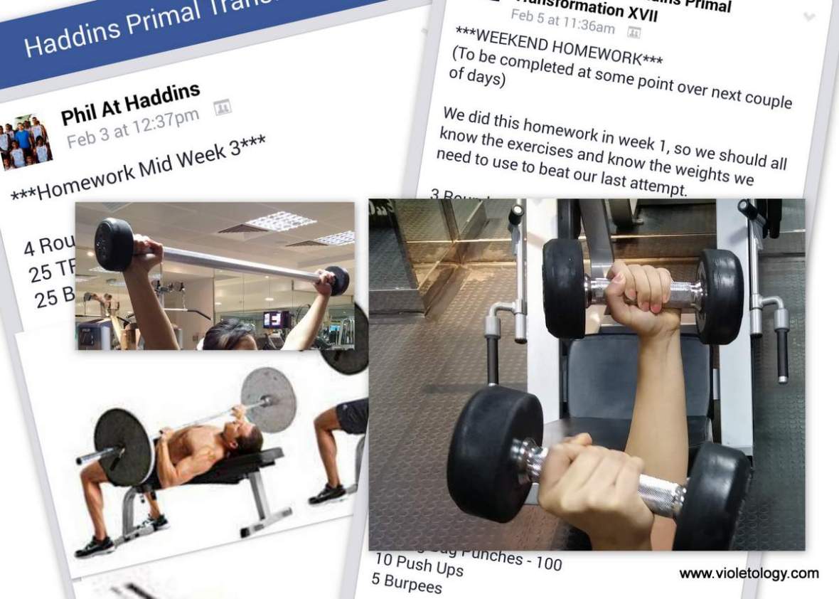 haddins-primal-3 (8)