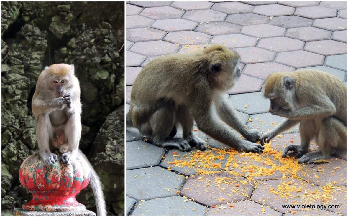 Kuala-Lumpur-Batu-Caves (6)