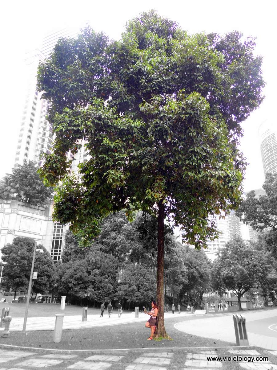 Kuala-Lumpur-Petronas (2)