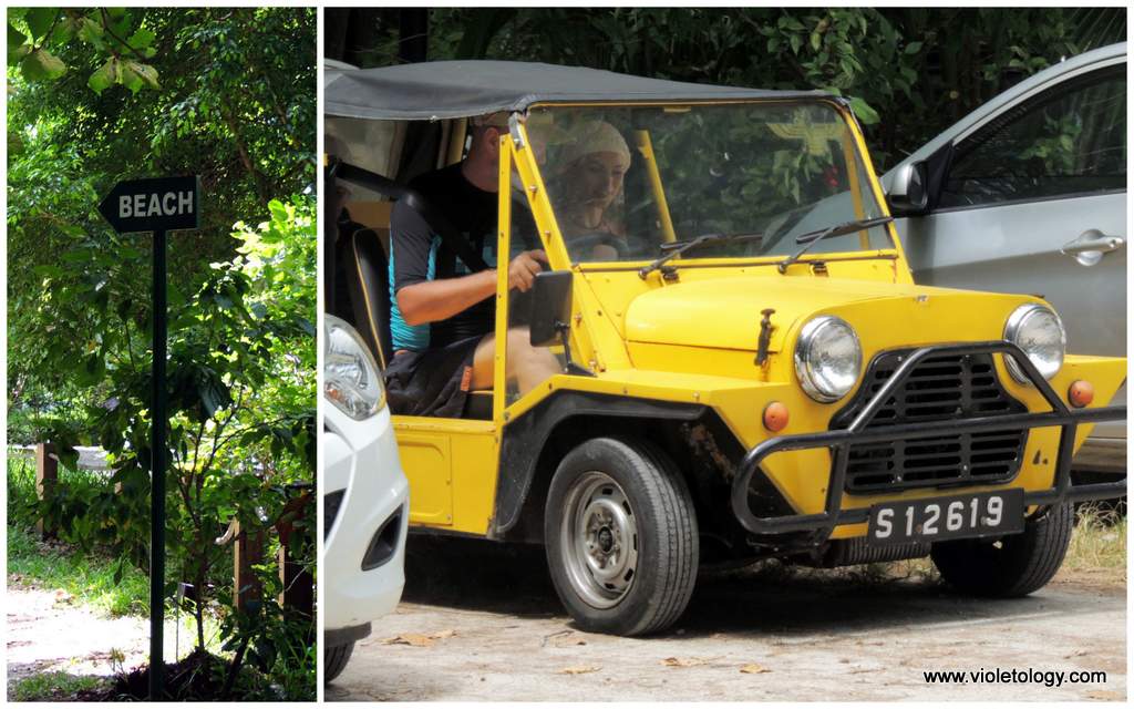 Seychelles-anse-intendance (2)