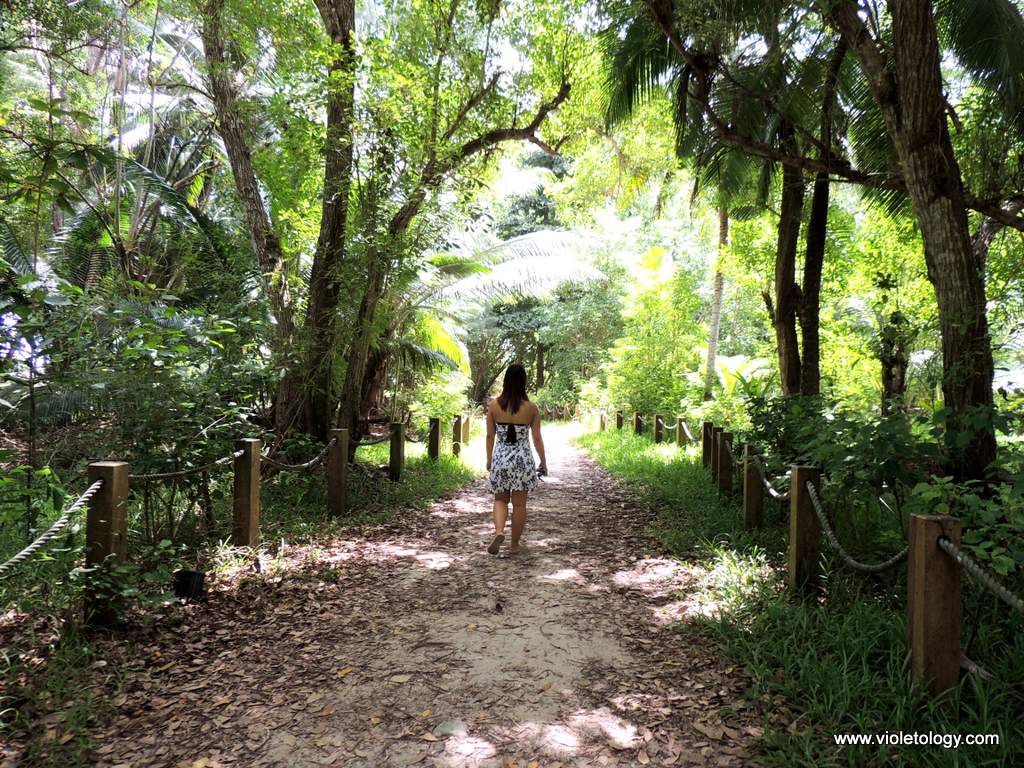 Seychelles-anse-intendance (3)