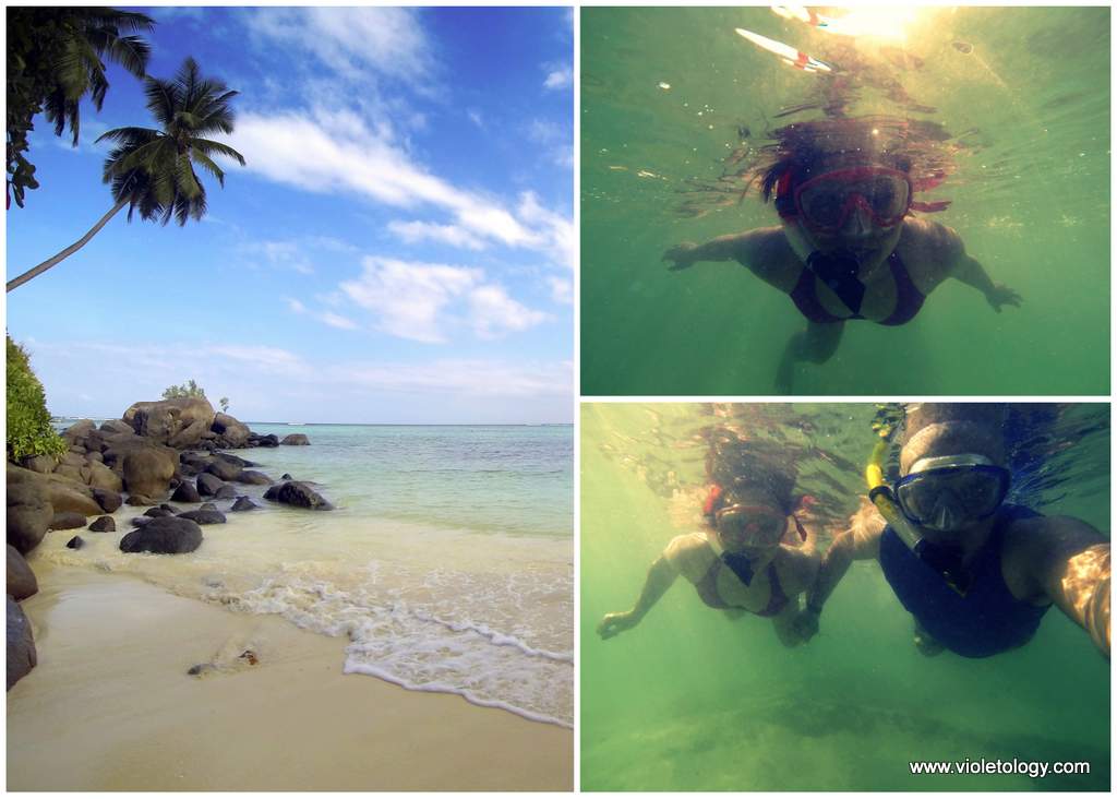 seychelles-fairyland (4)