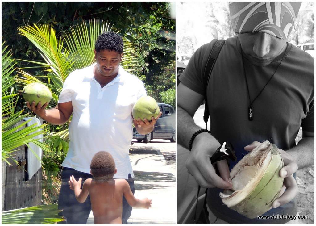 seychelles-pineaple-boutique (2)