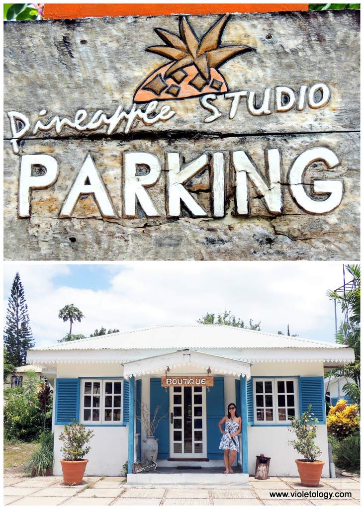 seychelles-pineaple-boutique (4)