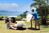 seychelles-tea-factory (8)