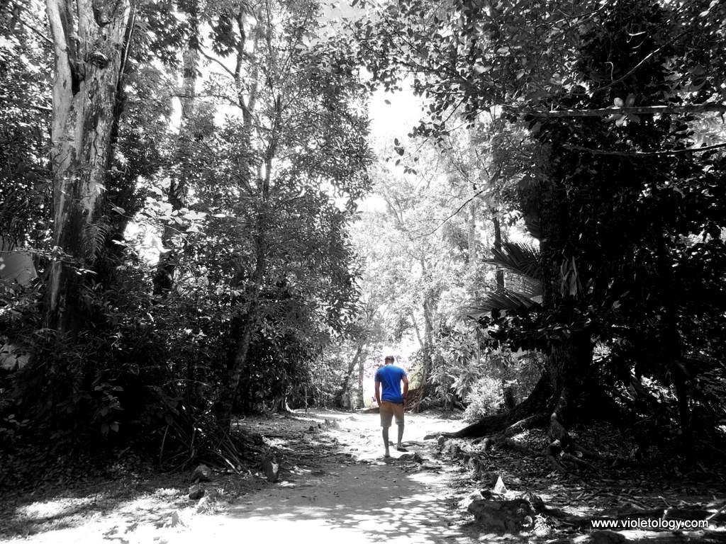 Seychelles-Venns-Town (14)