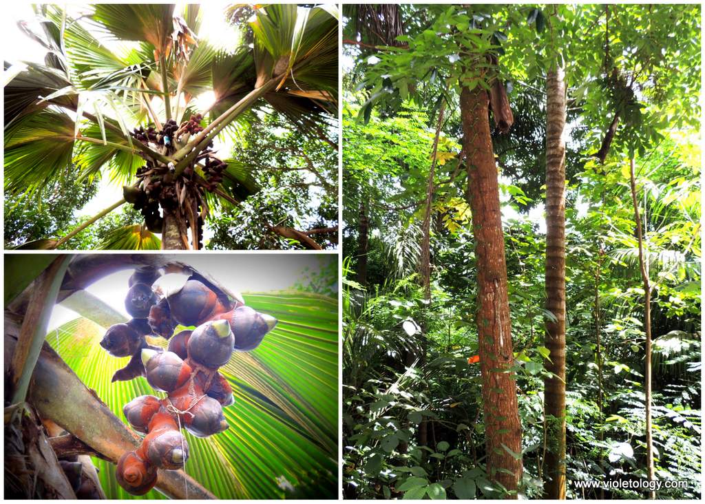 seychelles-viewpoint (2)