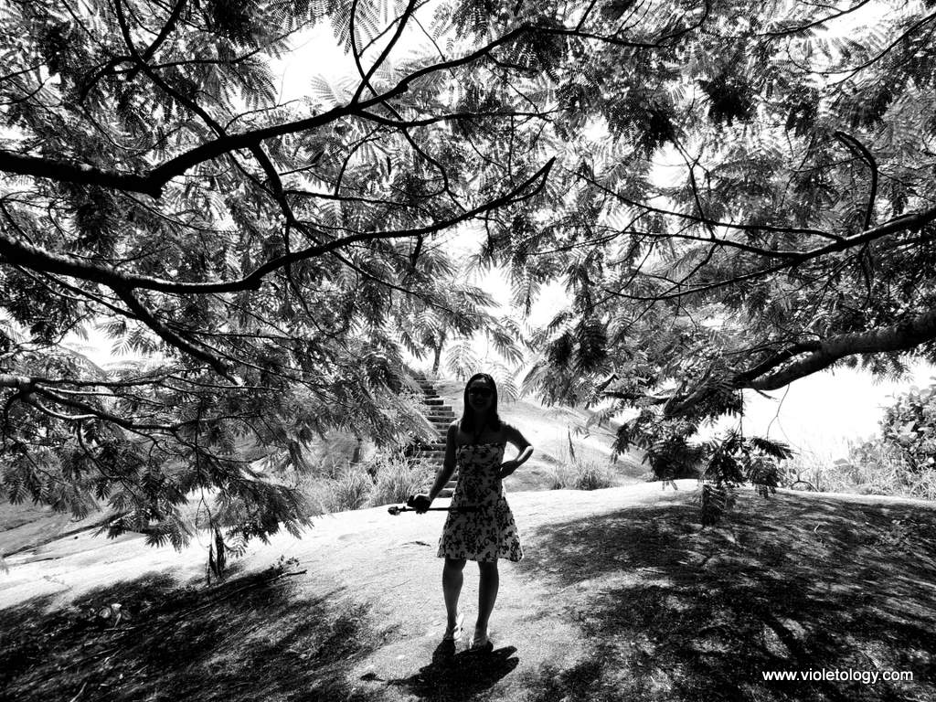 seychelles-viewpoint (9)