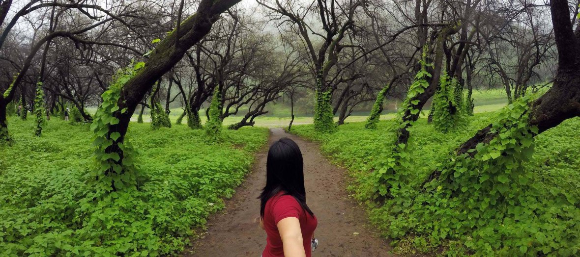 violetology-salalah-oman