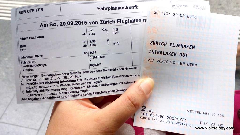 train-to-gimmelwald (1)