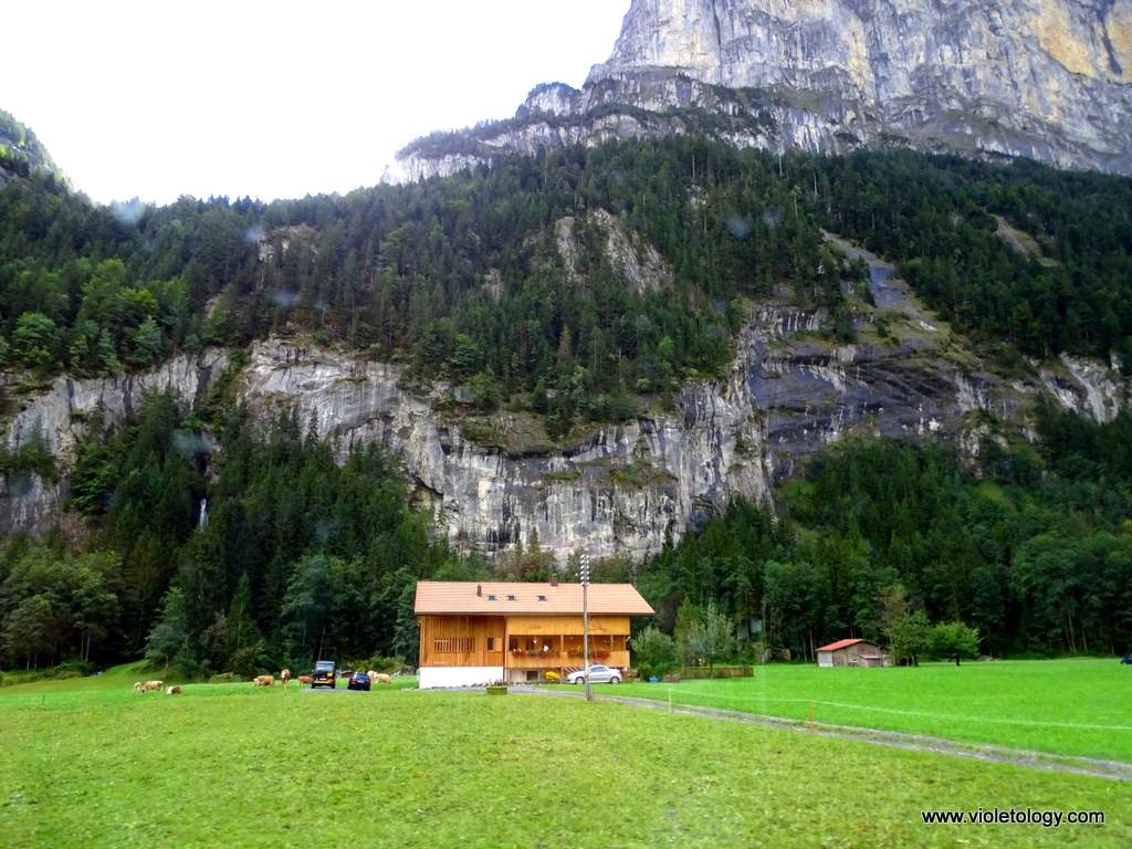 train-to-gimmelwald (8)