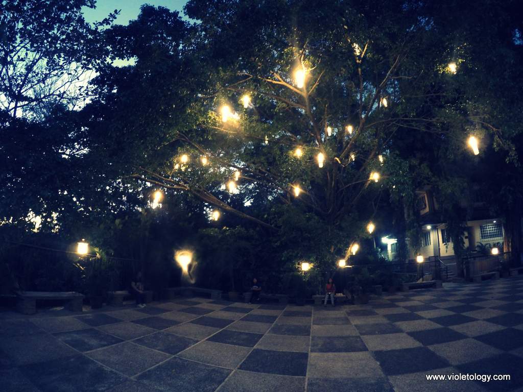 DCIM100GOPROG0872221.