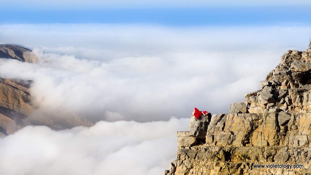 violet-lucasi-elrays (3)