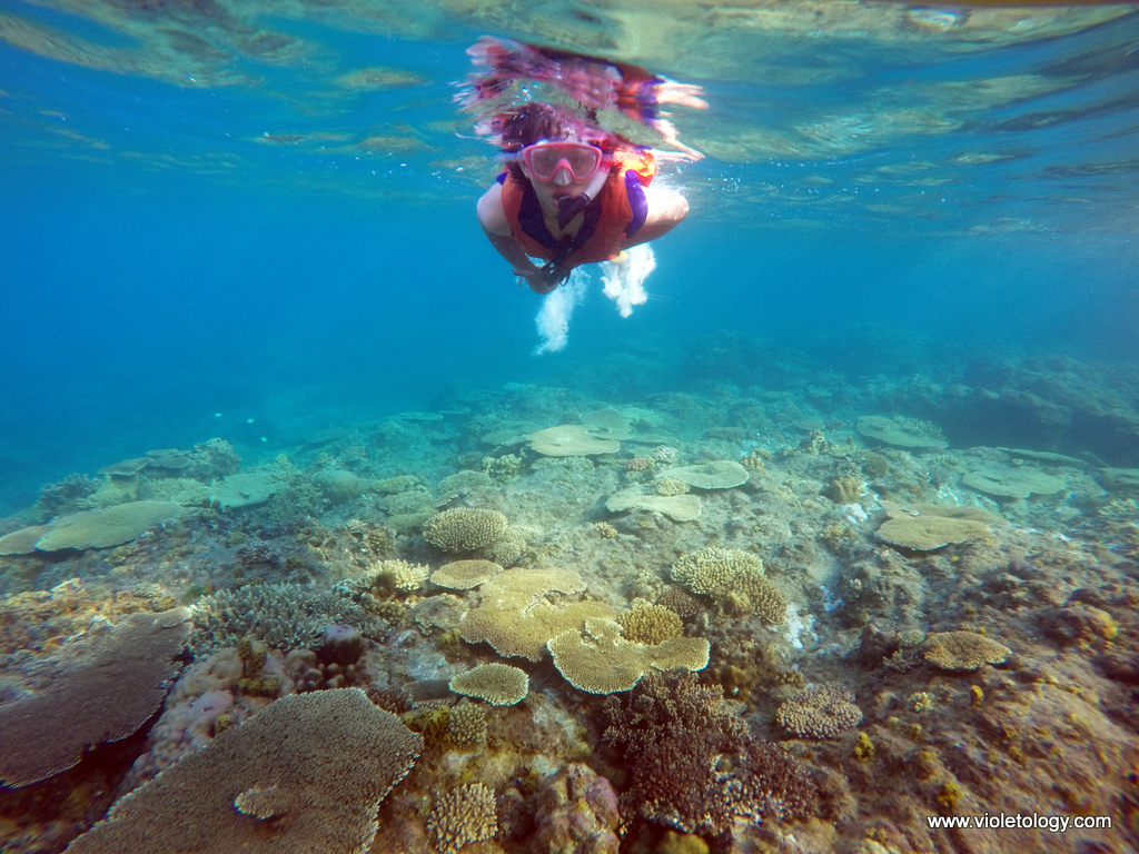 DCIM100GOPROG0025375.