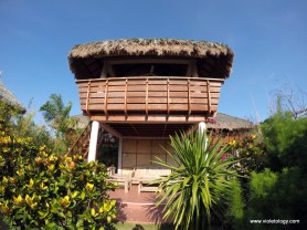 Waling-waling EcoVillage Kubol