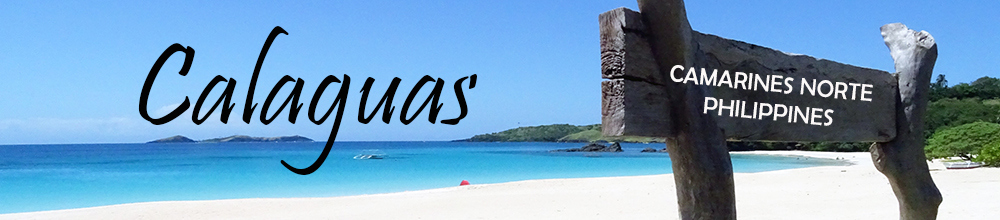 calaguas-waling-waling