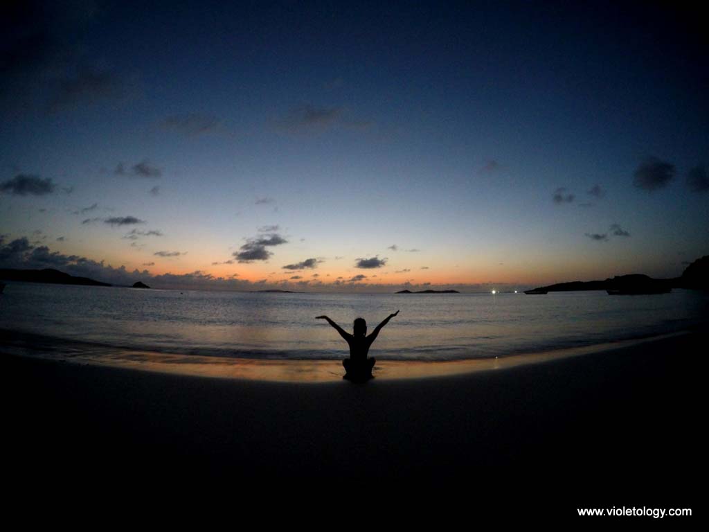 DCIM100GOPROGOPR5240.