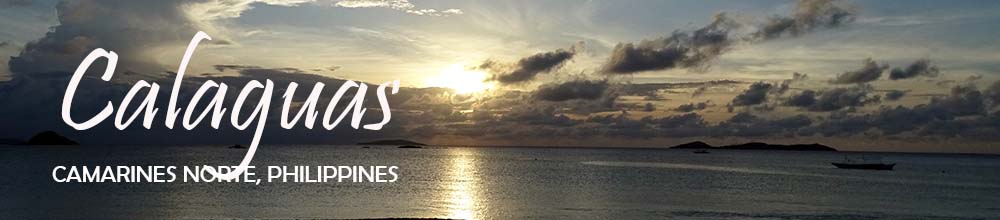 calaguas-beach-night