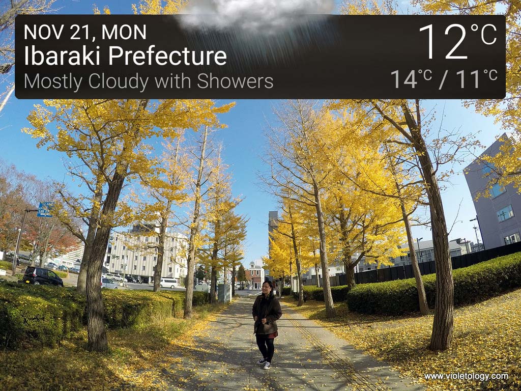 DCIM100GOPROGOPR0149.