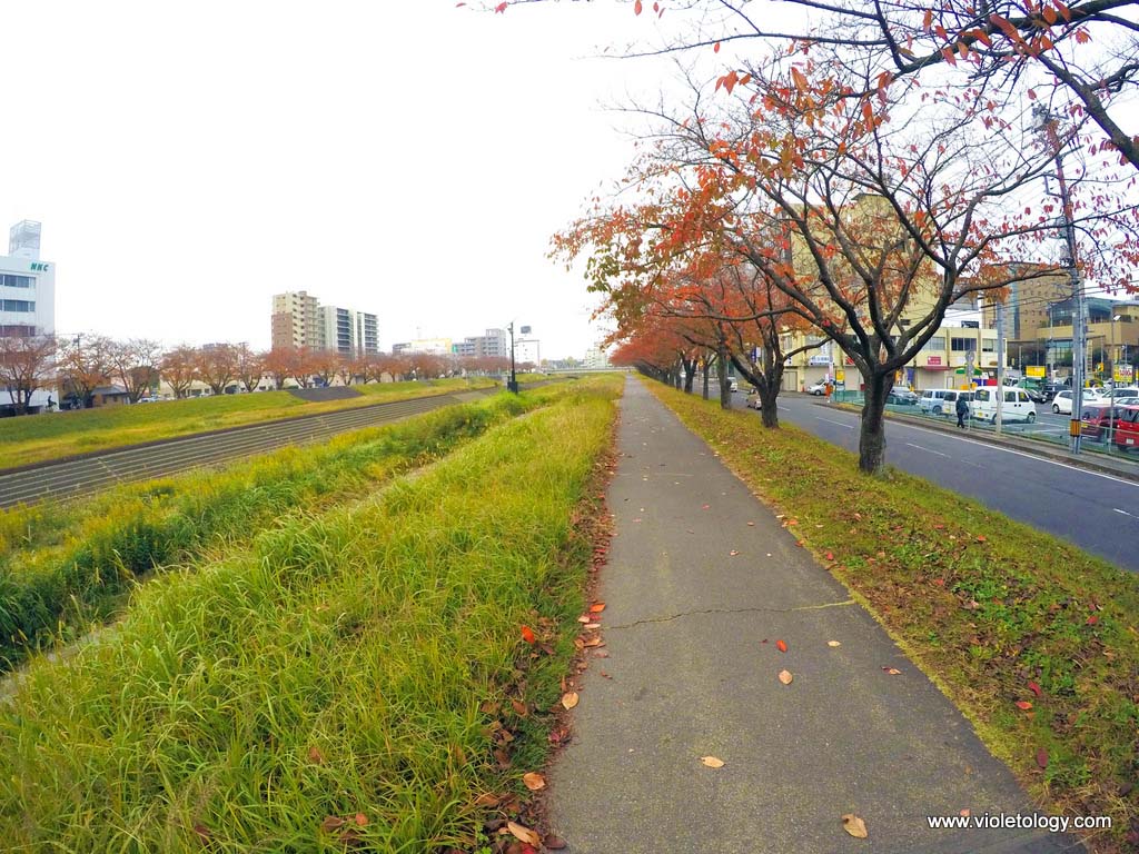 DCIM100GOPROGOPR0026.