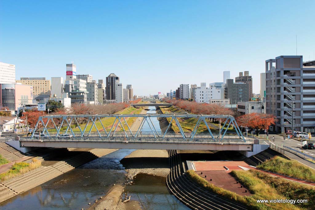 Mito Riverside Hotel