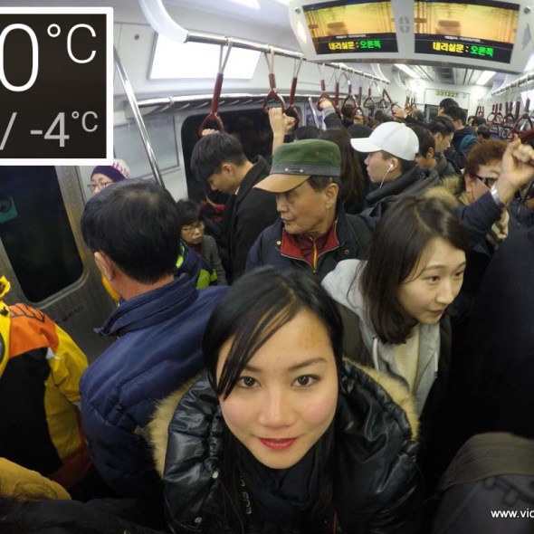 nami island south korea