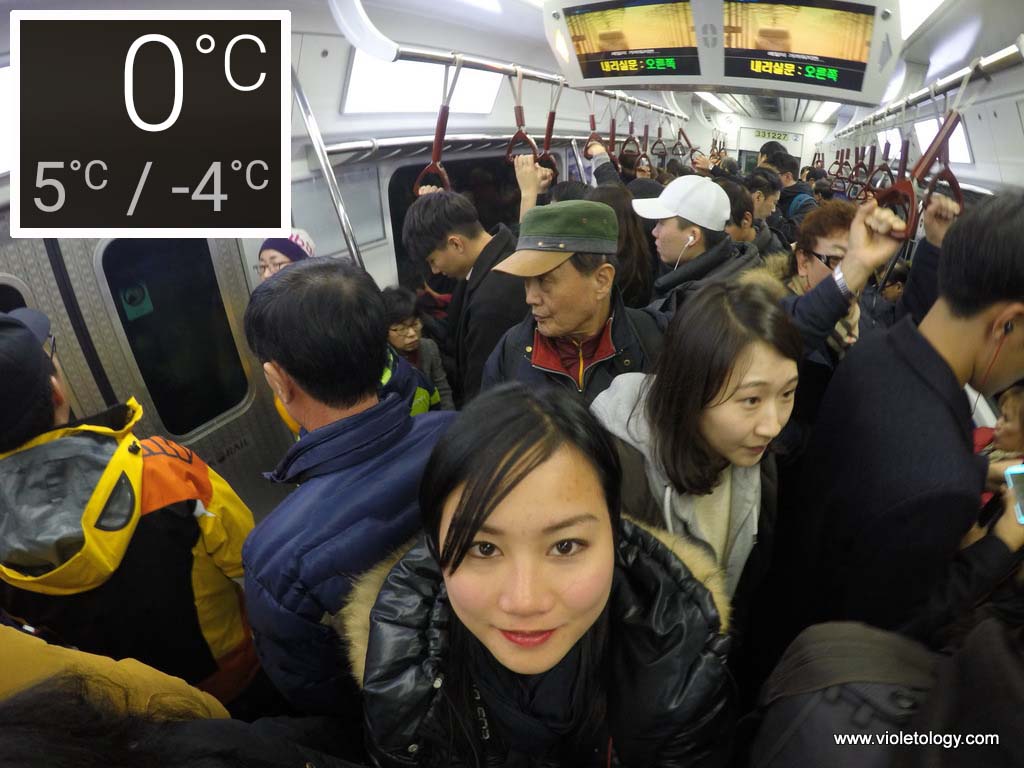 nami island south korea