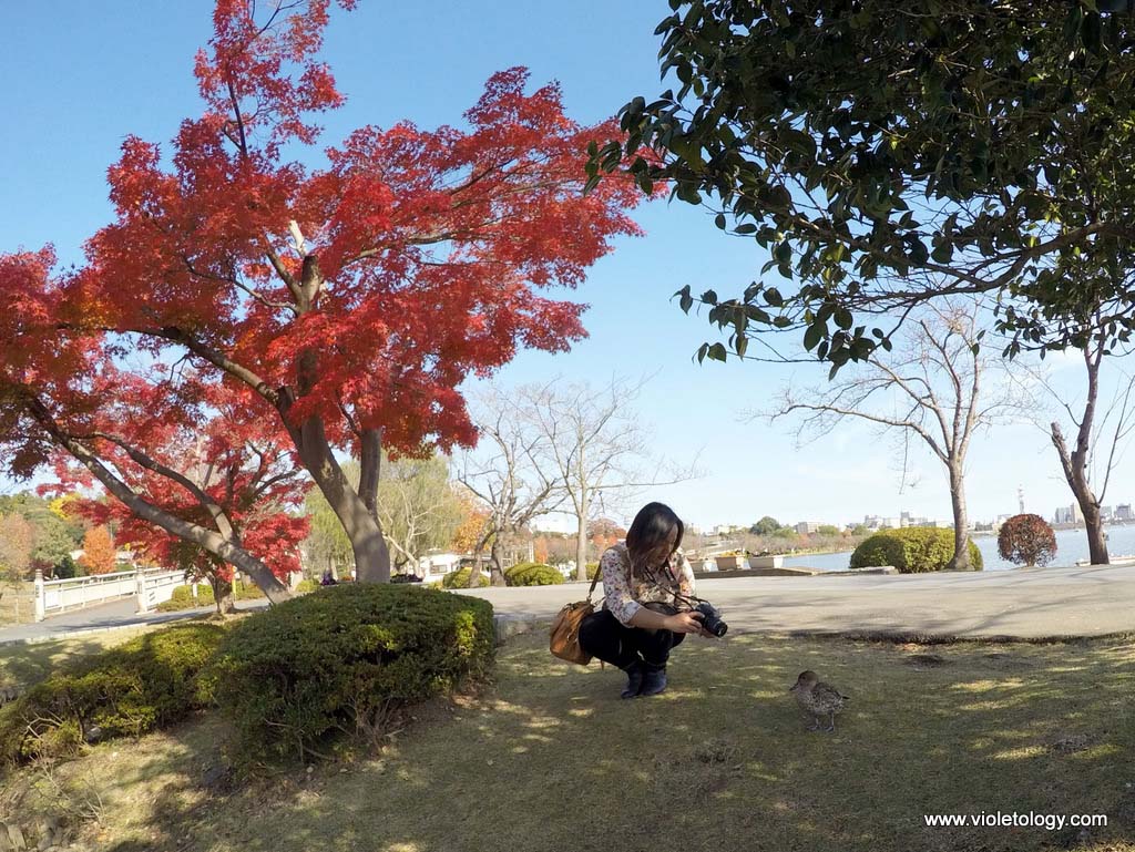 senbako-lake-mito-japan
