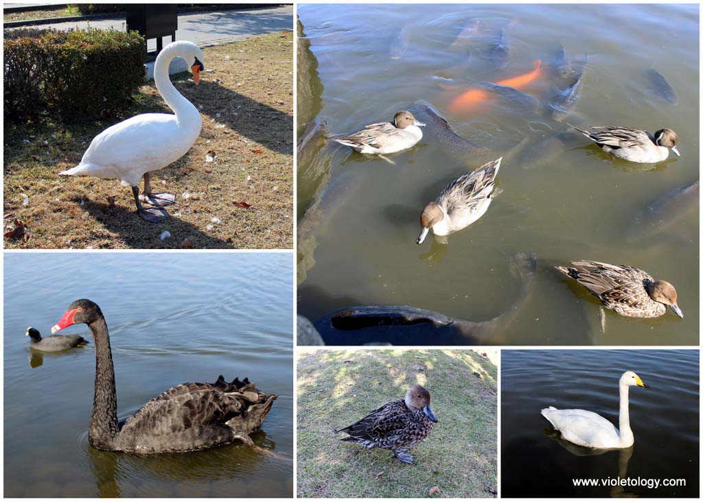 senbako-lake-mito-japan
