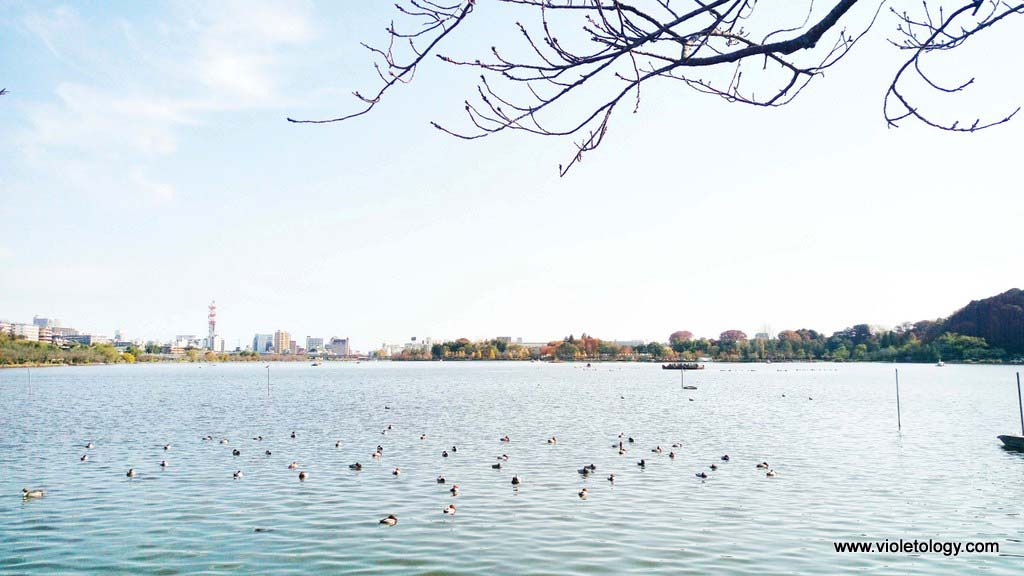 senbako-lake-mito-japan