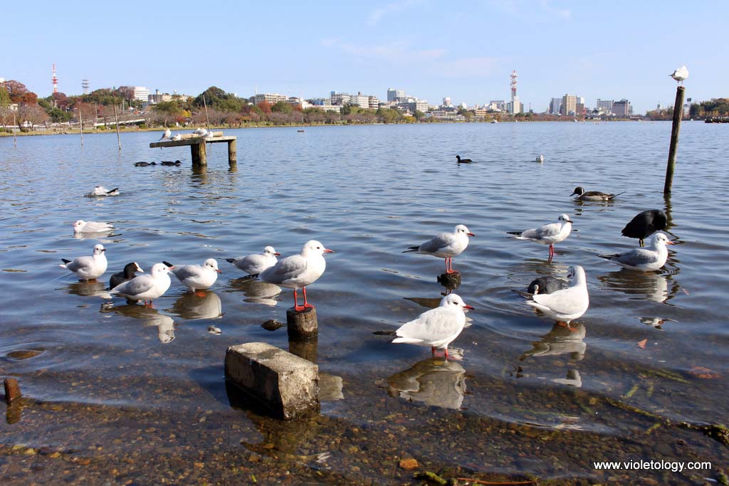 senbako-lake-mito-japan