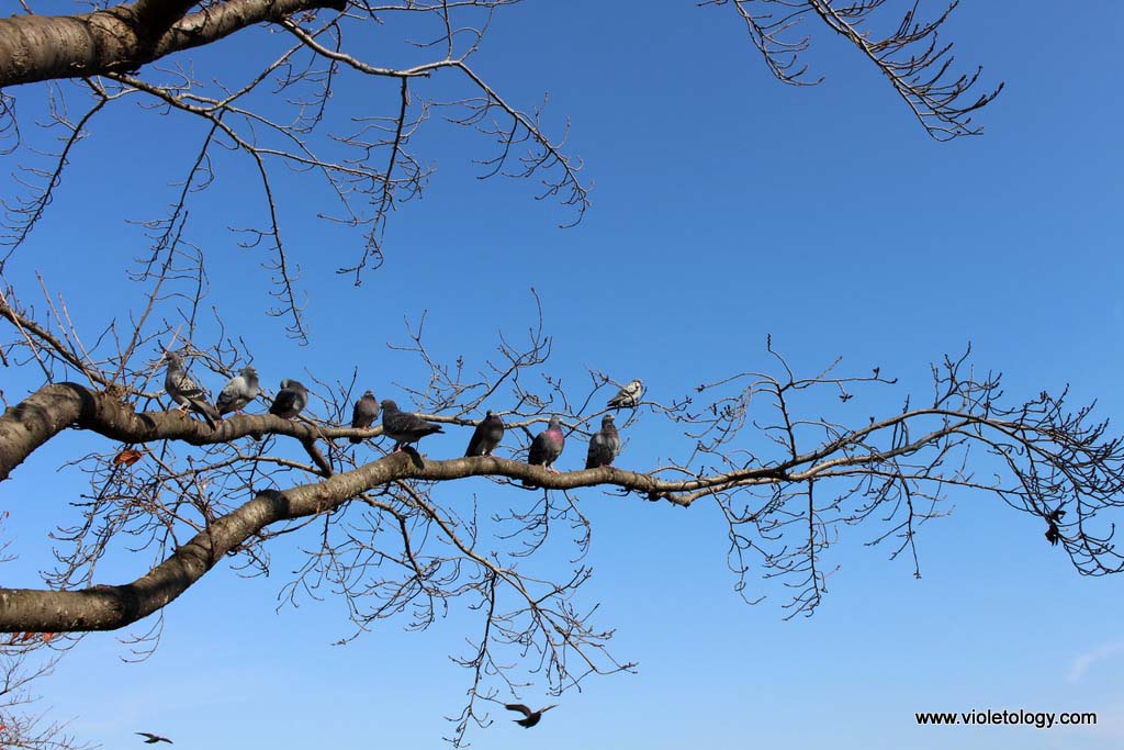 senbako-lake-mito-japan