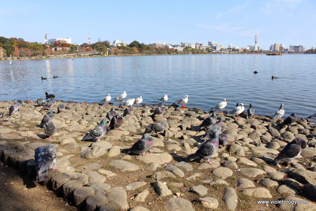 senbako-lake-mito-japan