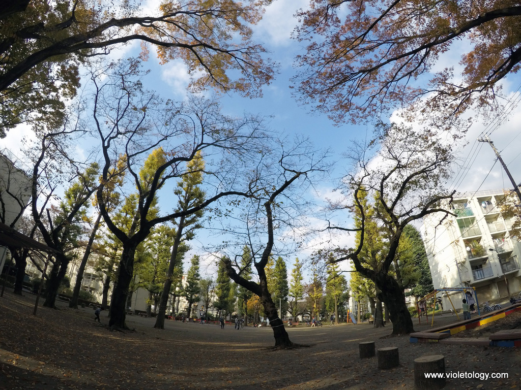 DCIM100GOPROGOPR0123.