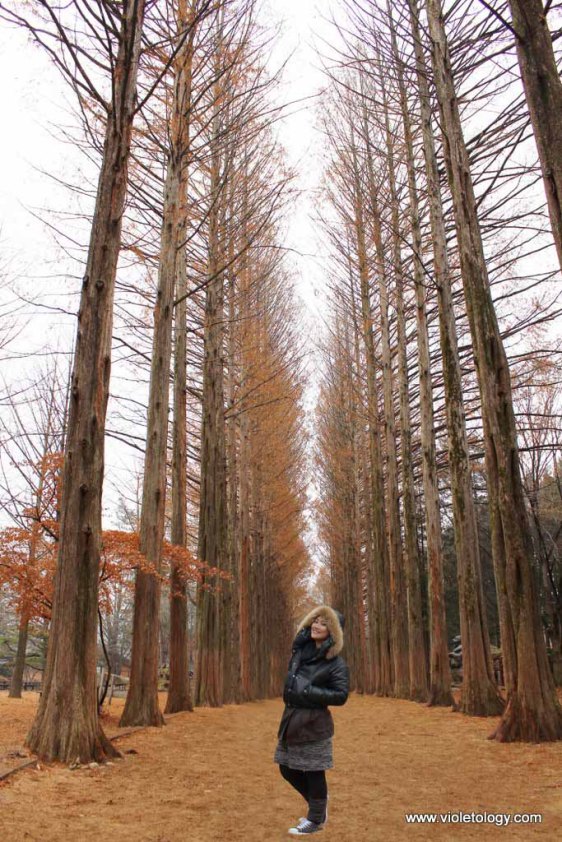 nami island south korea