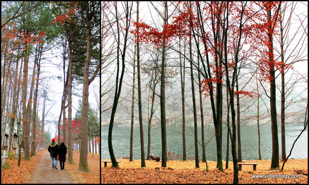 nami island south korea